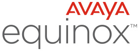 Avatar Avaya Equinox (Avaya IX Workplace)