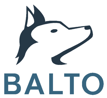 Avatar Balto