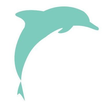 Avatar Dolphin