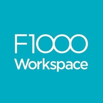 Avatar F1000 Workspace