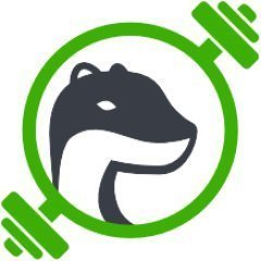 Avatar Fit Ferret