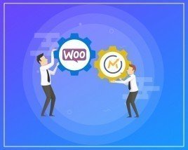 Mautic WooCommerce Integration PRO Avatar Mautic WooCommerce Integration PRO