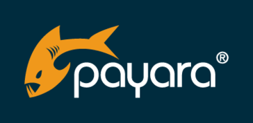 Avatar Payara Server