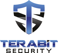 Avatar Terabit Security