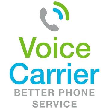 Avatar Voice Carrier Connect